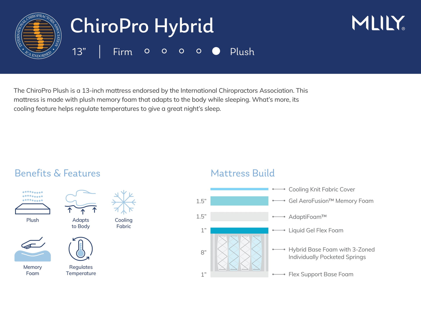 MLily ChiroPro Plush